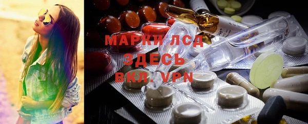 стафф Аркадак