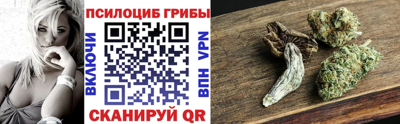 как найти   Никольск  Псилоцибиновые грибы GOLDEN TEACHER 